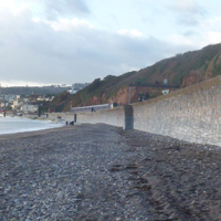 A sunny morning December 27th 005