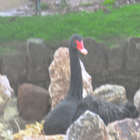 A walk around on Saturday afternoon 003