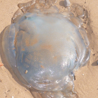 A sunny September Monday