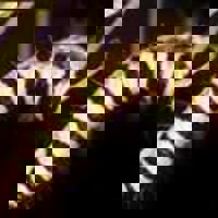 Cinnabar-Caterpillar