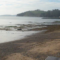 A sunny morning in December 2016 003