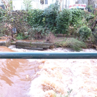 The Morning After The Floods 008