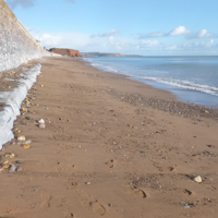 A sunny morning December 27th 007