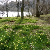 18040908glencoyne_park