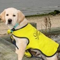 The-Magnificent-11-25247