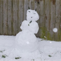 a few more snow pics march 2018 001