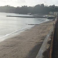 Beautiful Dawlish 007