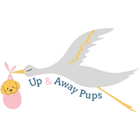 Up & Away Pups
