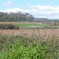 a sunny april morning 004