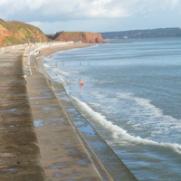 A sunny morning December 27th 009