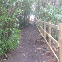 New houses in the woods 002