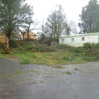 Storm damage at Ladys Mile 005