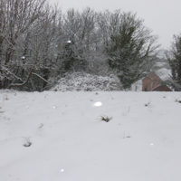 A few more snow pics March 2018 009