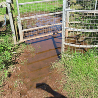 stinky obstruction poo pond 