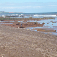 Easter Saturday 2014 004