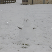 A few more snow pics March 2018 005