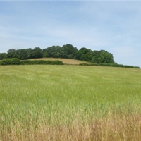 a taste of the country park at port road 005