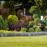 landscaping services in melbourne
