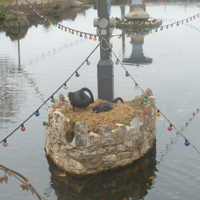 New cycle path plus swans nesting 004