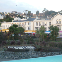 No Christmas Trees 006