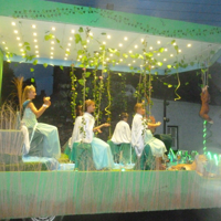 Dawlish Carnival 2016 071