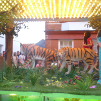 Dawlish Carnival 2014