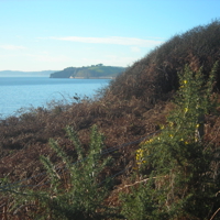 Sunny January 2012 011