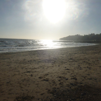 A beautiful day in Dawlish 007