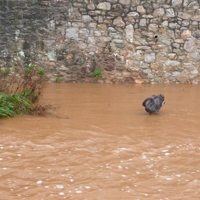 The day after the storm 008