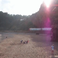 Stunning-beaches-estuaries-attract-25260