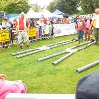 Carnival 2012 Ferret Racing 002