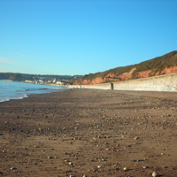 Sunny January 2012 006