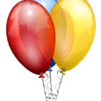 Party in the Park 2013