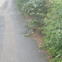 Sandy Lane July 2016 003