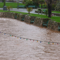 The day after the storm 003