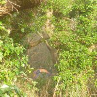 A freezing cold December 1st 002