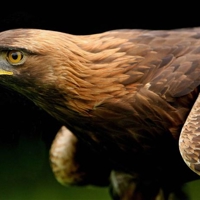 DC151661_edited-4-25894