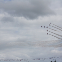Red-Arrows-13