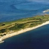 Golf-links-business-with-charity-25261