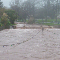 Dawlish Brook 30th December 2015 004