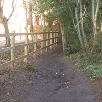 New houses in the woods 012