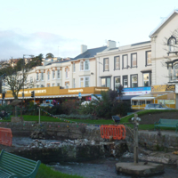 No Christmas Trees 003