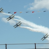 Utterly-Butterly-25462