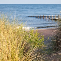 TeignbridgeVSD-156 blog