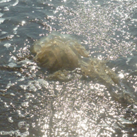 A sunny September Monday 002