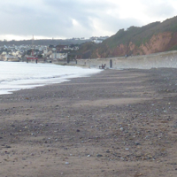 A sunny morning December 27th 006