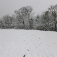 A few more snow pics March 2018 008