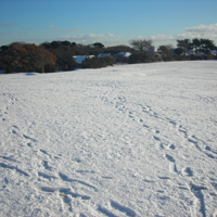 Christmas Market 2010 071