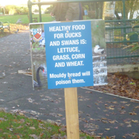 New signs at The Lawn 006