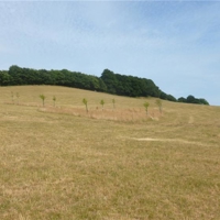 a taste of the country park at port road 011